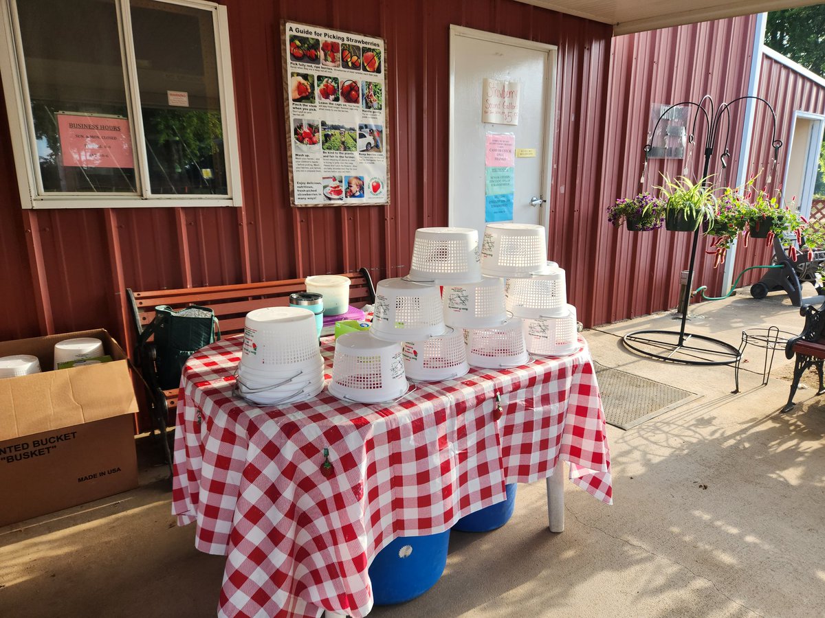mrslenon1516's tweet photo. Today's venture was to Gurosik's Plantation Berry Farm.  They have strawberries,  fruit,  veggies and flowers.  Support local businesses.  @Aiken_T_College @AikenPublicSch @MidlandValleyHS https://t.co/VVVOlO16Vb