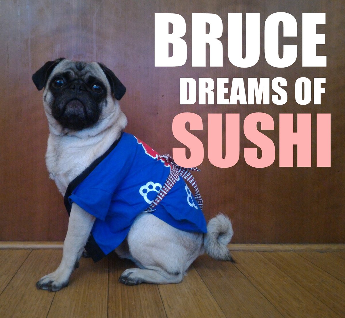 pugs_bot's tweet photo. https://t.co/lYwjb4WZgr