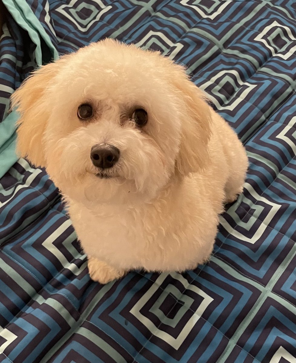 Sean Hussey tweet media