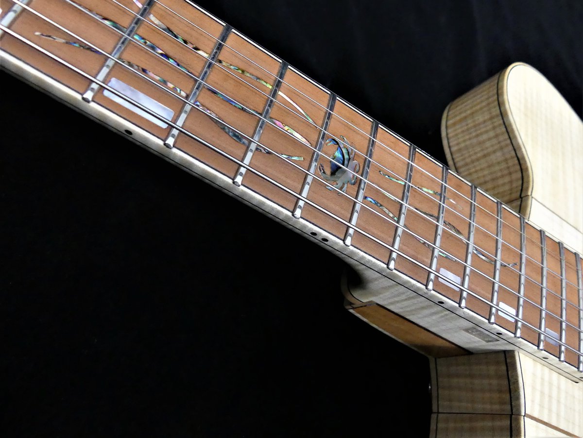 GuitareCreation's tweet photo. https://t.co/YTpPjWsUiP