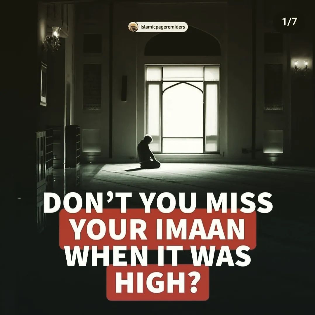 azgumel's tweet photo. Don't You Miss Your Imaan When It Was High?😢💔

Open The THREAD! Bring Back Those Good Old Days! Save Yourself! https://t.co/SIWW0r46Wy