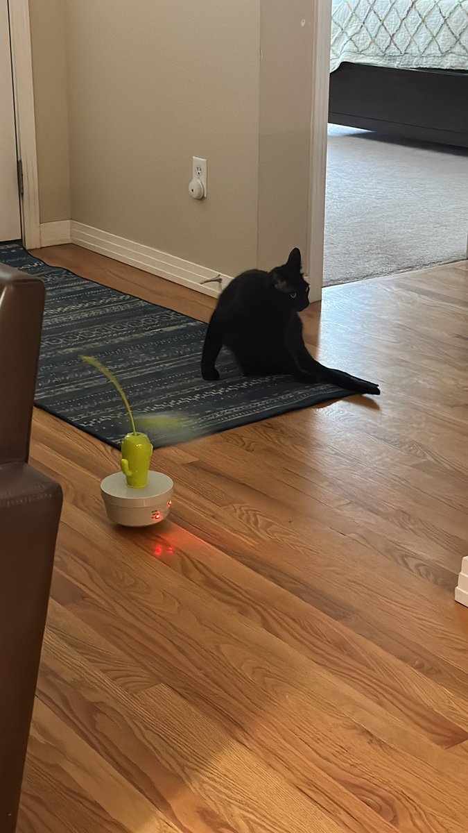 Unimpressed with his new toy