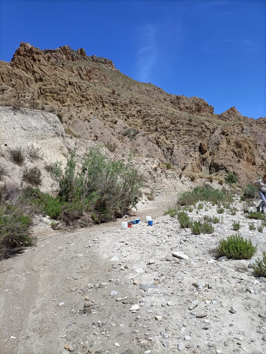Dry_GUADALMED's tweet photo. During the last weeks, different Dry-Guadalmed teams are sampling  disconencted pools and dry riverbeds in several Mediterranean river basins in Spain (Segura, Júcar, Ebro, Guadalquivir and Internal basins of Catalonia). https://t.co/DQU7y4muOw