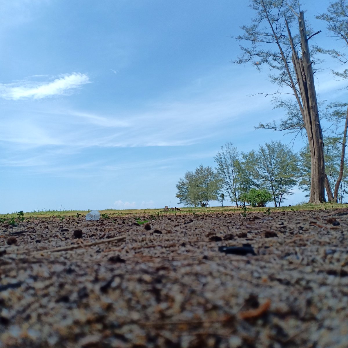 💫 KAMAL 💫 (@abdulkaree2522) on Twitter photo 