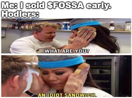 Are you really going to fade Gordon Ramsay?

Don't be an idiot sandwich.

Hold your $FOSSA.