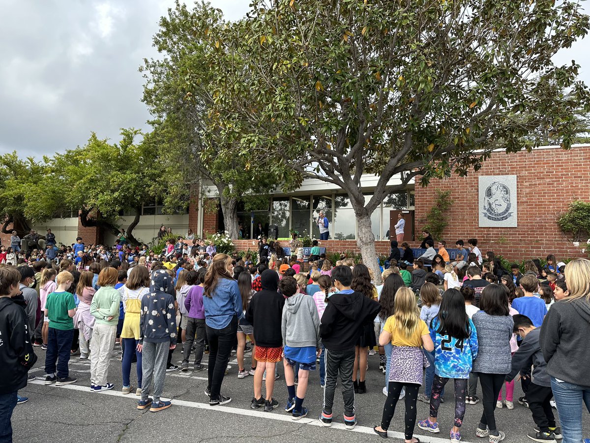 Dapplegray Principal tweet media