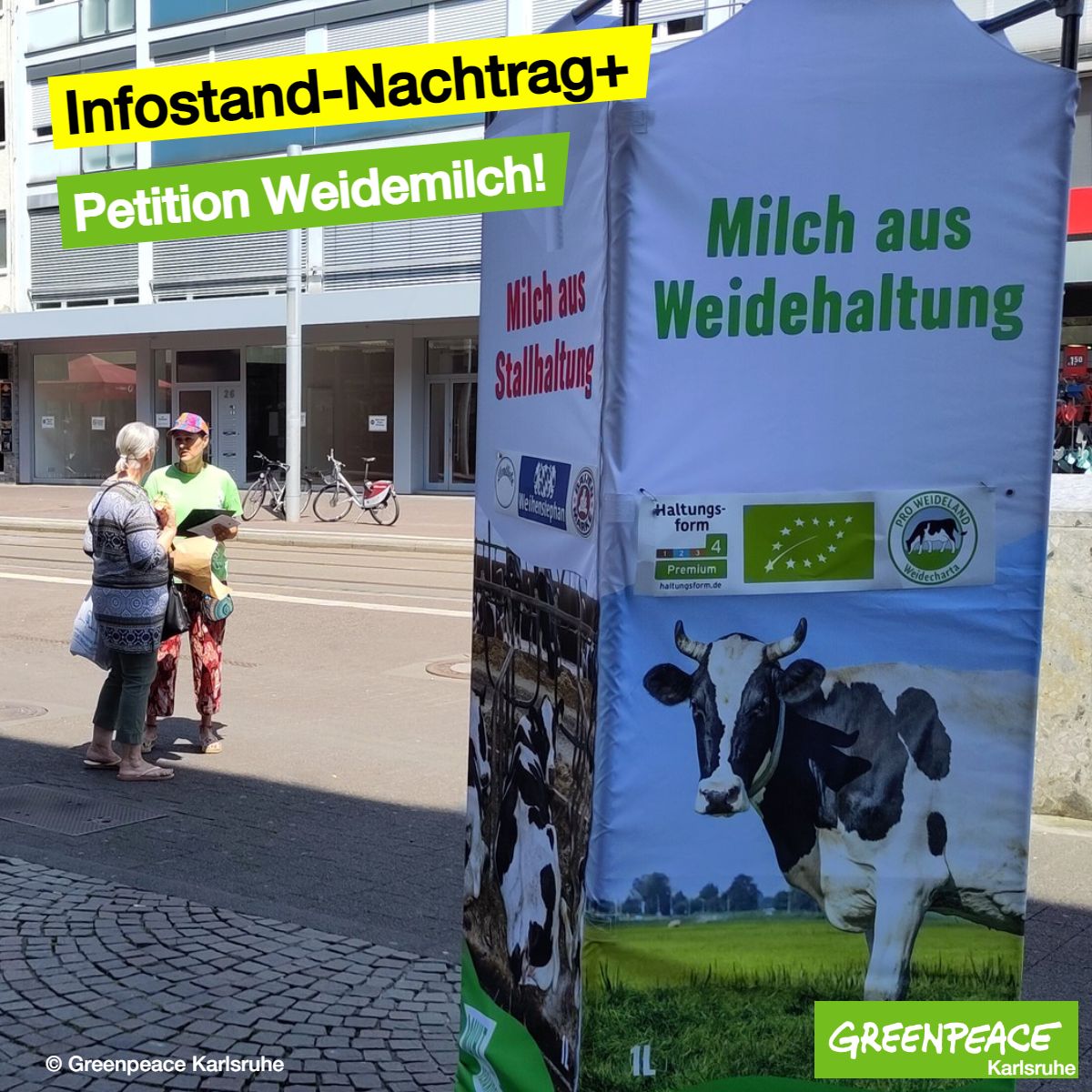 greenpeace_ka's tweet photo. Infostand: Am Samstag haben wir Unterschriften für #Weidemilch gesammelt. Fordere auch du von Landwirtschaftsminister @cem_oezdemir rechtliche Vorgaben für alle Rinder: mehr Platz im Stall, keine Anbindehaltung, mehr Gras + weniger Kraftfutter Petition: https://t.co/34YCd9p6SM https://t.co/G42tUCwVYK