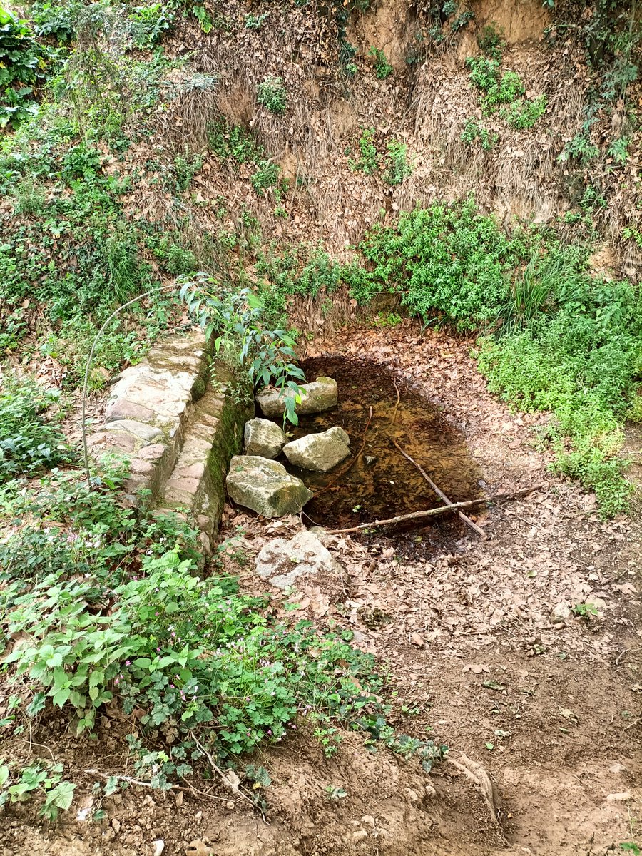 Dry_GUADALMED's tweet photo. During the last weeks, different Dry-Guadalmed teams are sampling  disconencted pools and dry riverbeds in several Mediterranean river basins in Spain (Segura, Júcar, Ebro, Guadalquivir and Internal basins of Catalonia). https://t.co/DQU7y4muOw