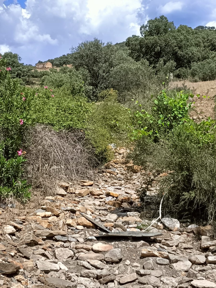 Dry_GUADALMED's tweet photo. During the last weeks, different Dry-Guadalmed teams are sampling  disconencted pools and dry riverbeds in several Mediterranean river basins in Spain (Segura, Júcar, Ebro, Guadalquivir and Internal basins of Catalonia). https://t.co/DQU7y4muOw