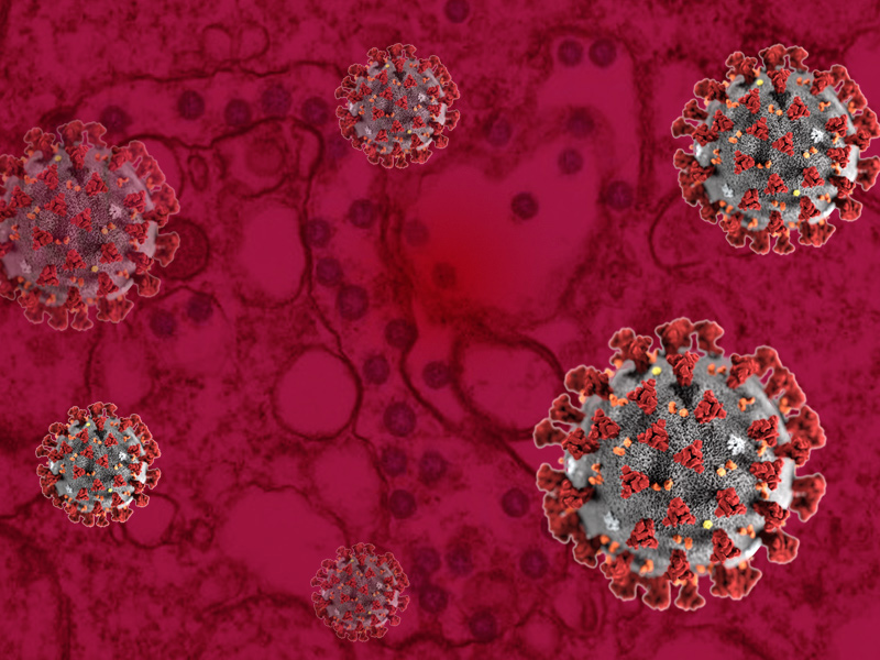 callcleanpro's tweet image. Coronavirus Disinfecting bit.ly/3924zS6 #cleanpro #cleanprorestoration