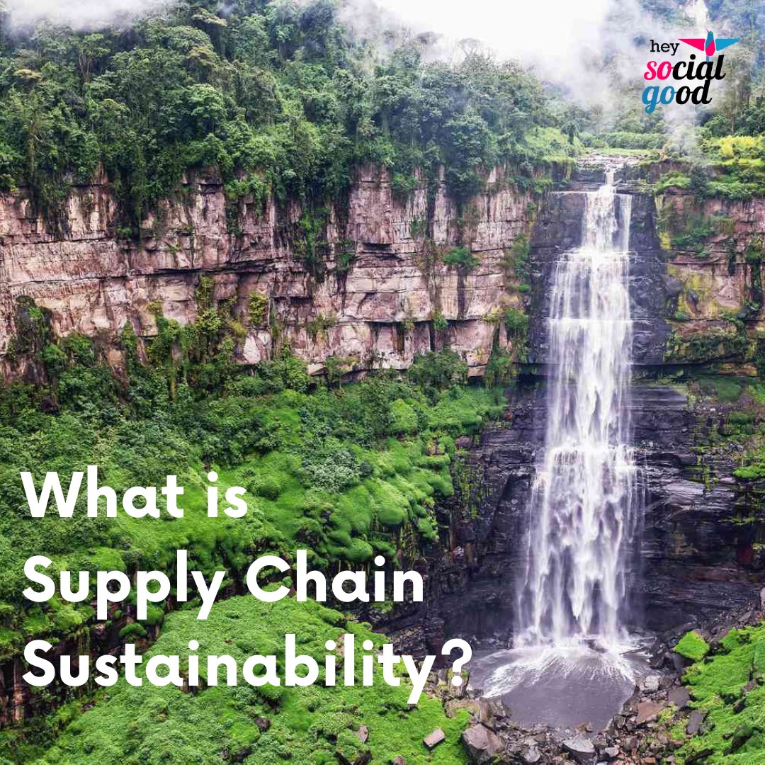 Hey Social Good tweet media