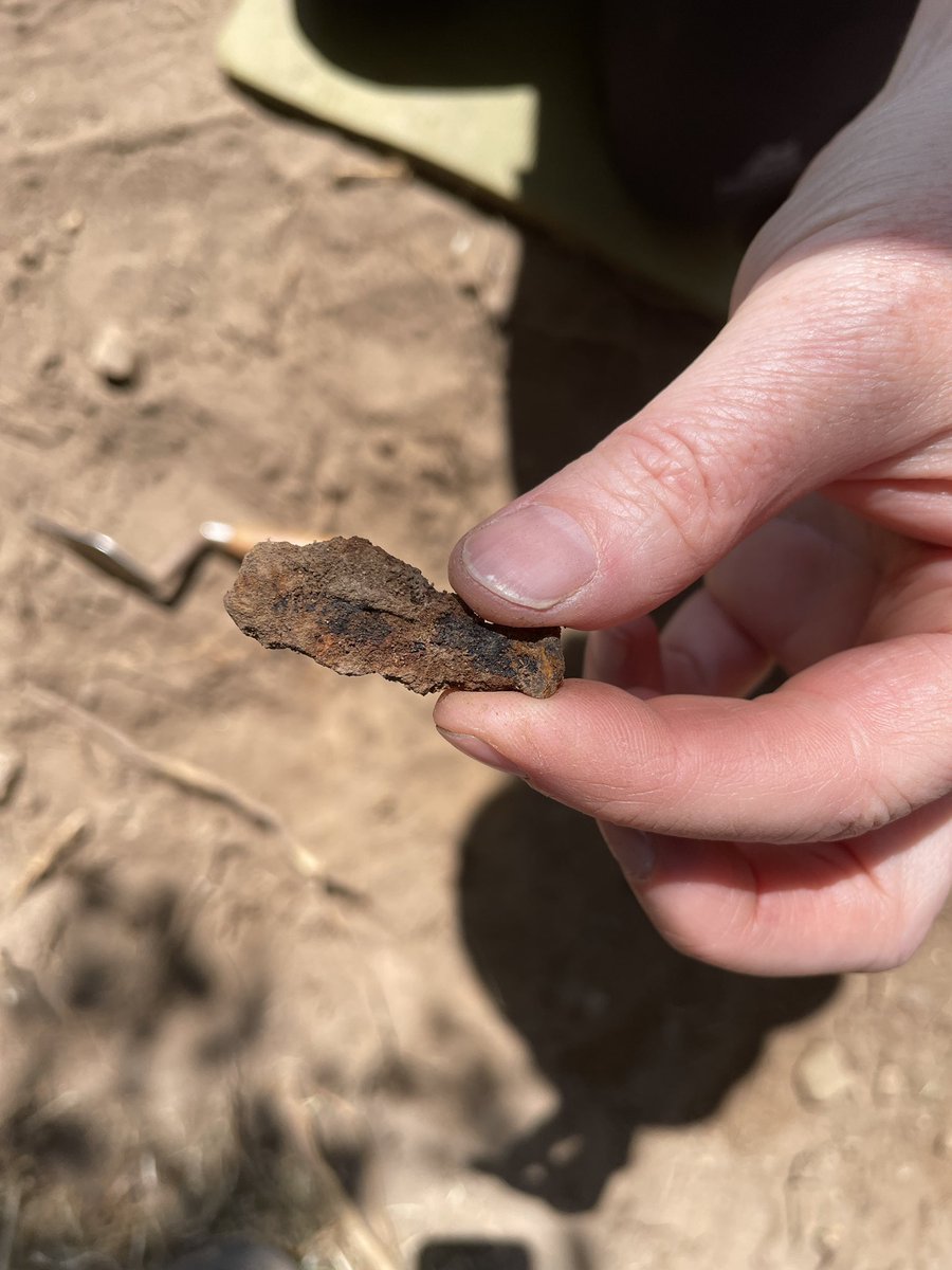TheDigVenturers's tweet photo. Today’s teenage archaeologists are nailing it. Yup, Freddy’s found a nail 😜

#soultondig https://t.co/77y9Wksszc