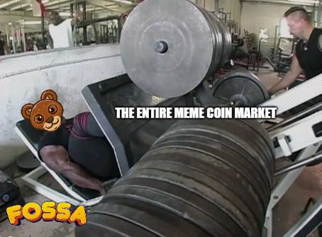 LIGHT WEIGHT BABY.

$FOSSA