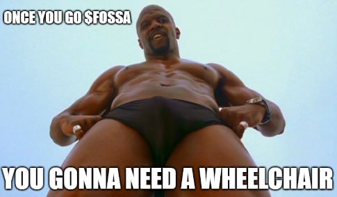After we're done with $PEPE, $RICK, $PLANET and the rest of those generic shitcoins, they are all going to need a wheelchair.

You're all in for one hell of a ride. $FOSSA