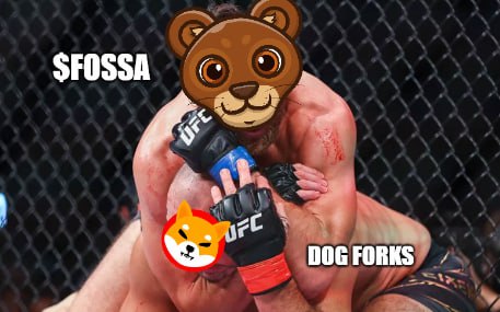Wait a second, you didn't buy $FOSSA? You bought a dog fork??

Let me guess, your mother isn't proud of you.

I was right? I thought so.

Make your mother proud of you. Buy $FOSSA.