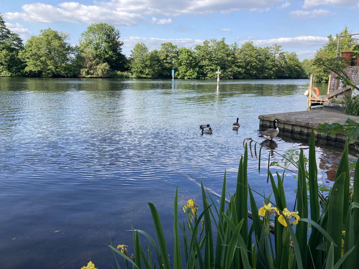 owenclark3's tweet image. It’s gin o’clock by the Thames #Bray #Waterside
