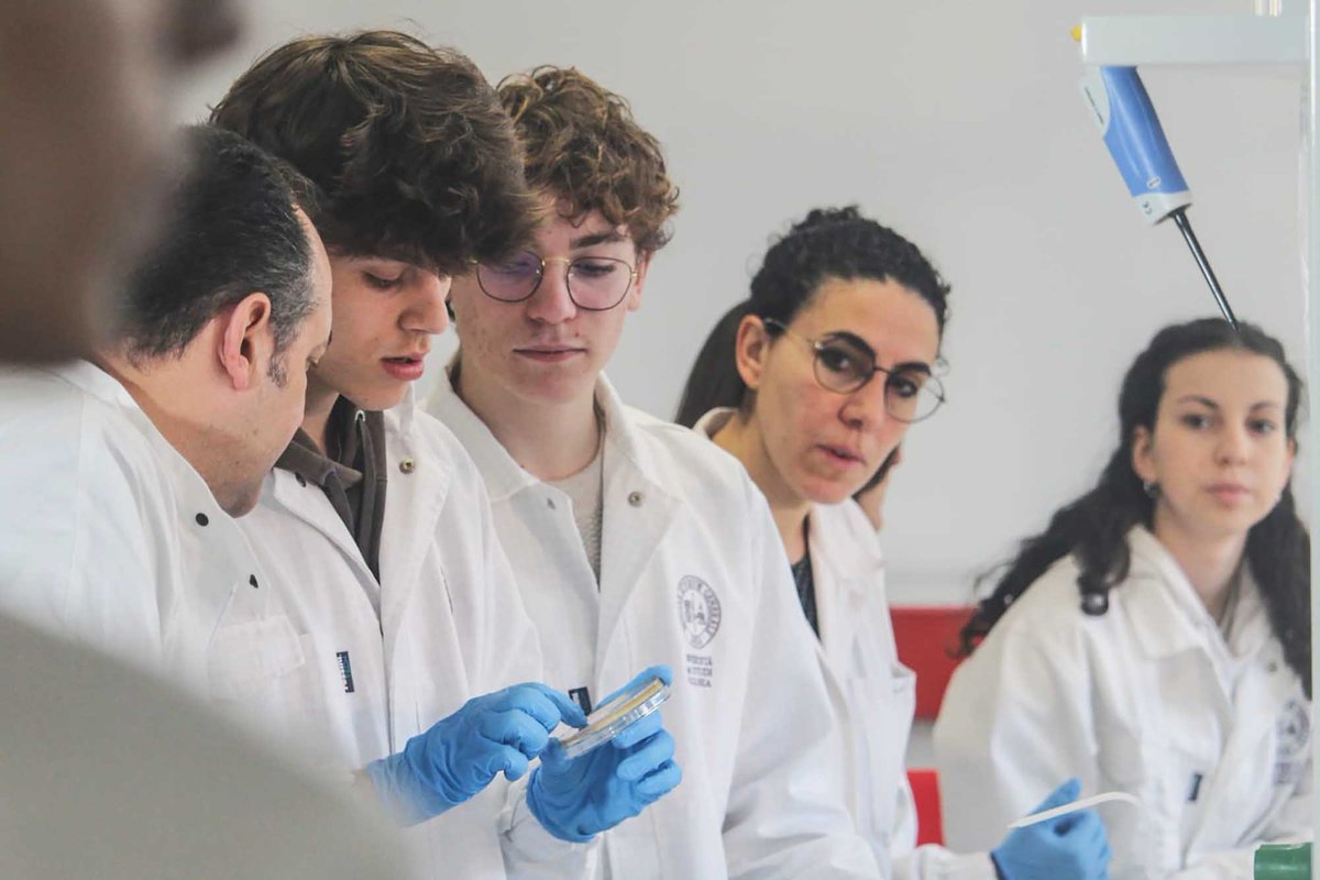 unict_it's tweet photo. #goodnews Per un pugno di #arance…Il progetto degli #studenti del Liceo scientifico “Galileo Galilei” di #Catania, su un’idea del Di3A di @unict_it conquista il #MadforScience
#formazione #ricerca #terzamissione

Su #UnictMagazine di #Unict

https://t.co/p4TxRFC6kY https://t.co/bh0YXZtMXh