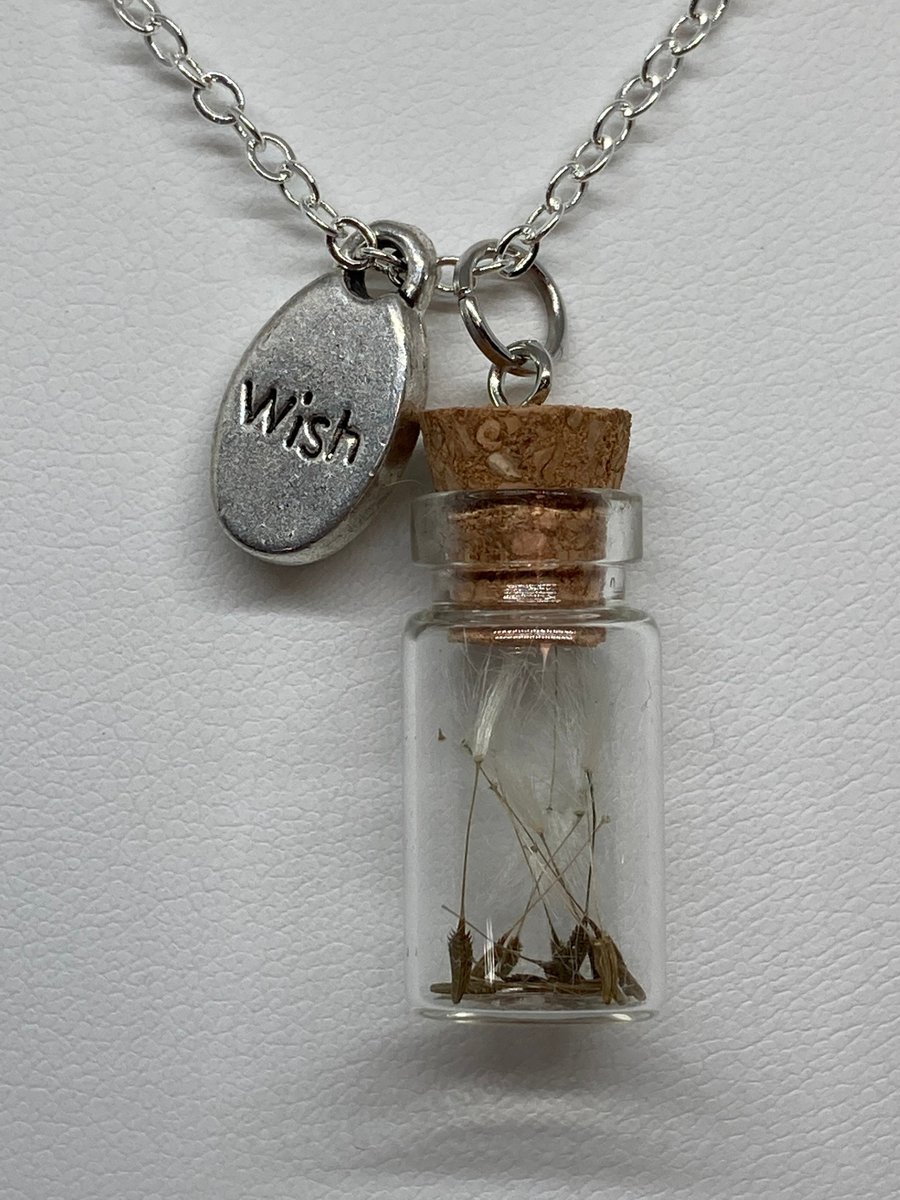 Excited to share the latest addition to my #etsy shop: Dandelion Seed Necklace / Dandelion Wish Necklace / Wish Necklace / Dandelion Wisp Necklace etsy.me/42BRjiV #realflowerseed #flowerseednecklace #glassbottle #flowernecklace #flowerinbottle #seedinbottle #wi
