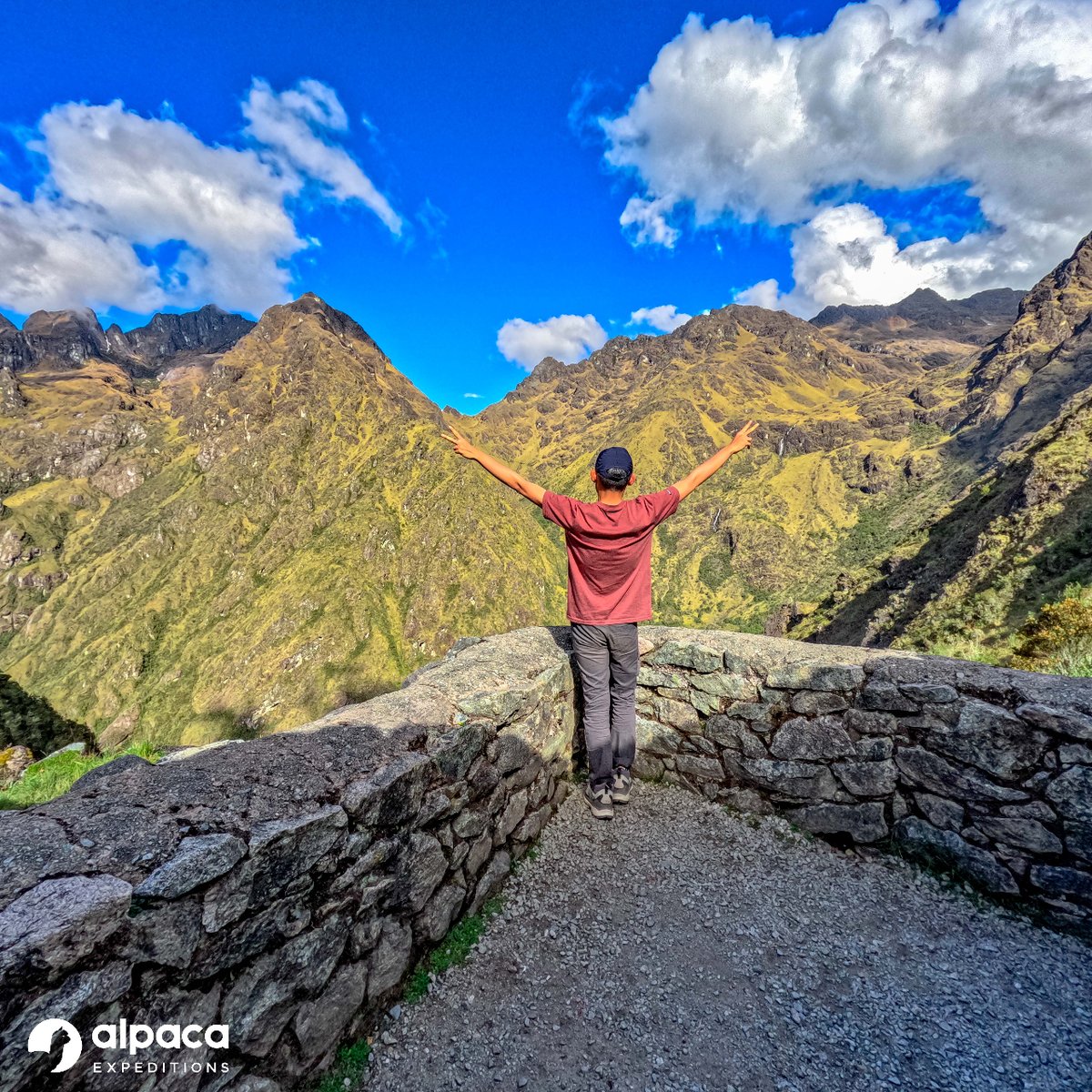 trekwithAlpaca's tweet photo. Dare to discover the majesty of Machu Picchu through the incredible Inca Trail, a legendary journey that will transport you back in time and connect you with the grandeur of an ancient culture.
.
.
.
#culture #trekking #hiking #intipunku #incas #machupicchu #cusco #peru https://t.co/f9T8DOWIJd