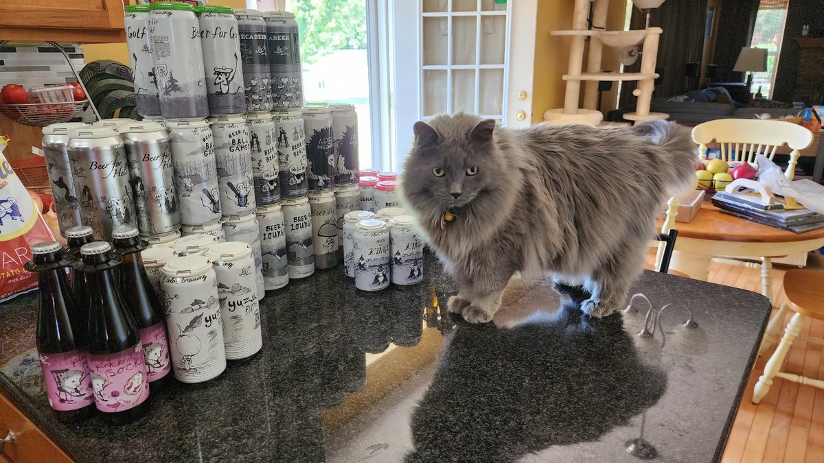 beckbjj's tweet photo. We traveled to the far off land of Illinois a couple days ago, to hit up Binny's for some @OffcolorBrewing. Here's my OCB haul, with and without #BeerCats. @CatsOnTap #BeerCat #Caturday #CatsOfTwitter https://t.co/ro2Yg6zb8K