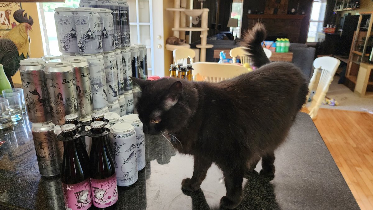 beckbjj's tweet photo. We traveled to the far off land of Illinois a couple days ago, to hit up Binny's for some @OffcolorBrewing. Here's my OCB haul, with and without #BeerCats. @CatsOnTap #BeerCat #Caturday #CatsOfTwitter https://t.co/ro2Yg6zb8K