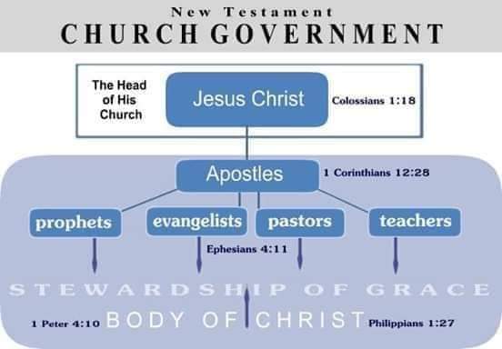 ConnieVanWyk's tweet photo. When Jesus walked the earth He gave His new covenant commandments unto the apostles whom He had chosen (Acts1:2), not to pastors. When the church exchanged apostolic stewardship for pastoral stewardship the church fell into great division & gross darkness. https://t.co/JPT8KTbSWv https://t.co/CW22L8O48c