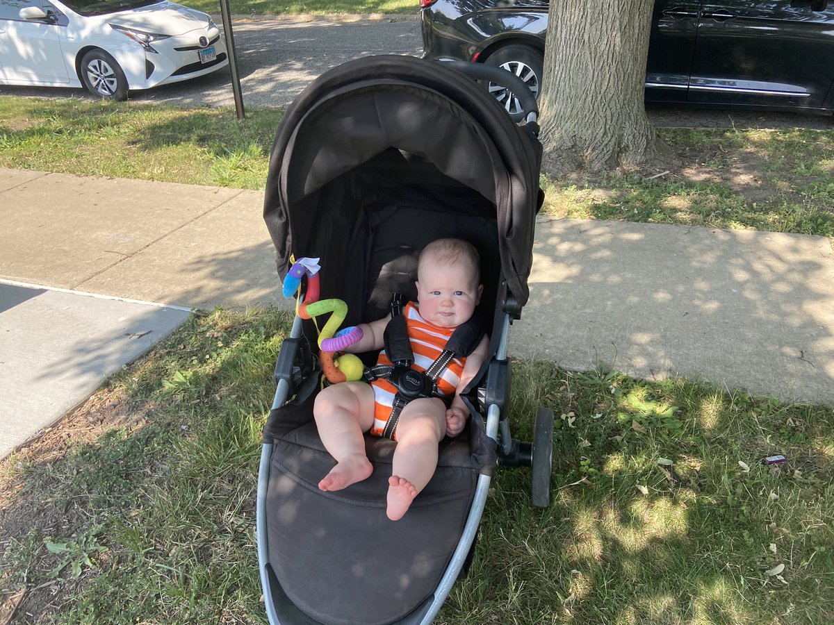 LibbyEMiller's tweet photo. Great morning for @IlliniAthletics and @HFHChampaign to partner up and tackle the community gardens! Under the supervision of the cutest guy in town! 💙🧡 https://t.co/74pvV4bQJV