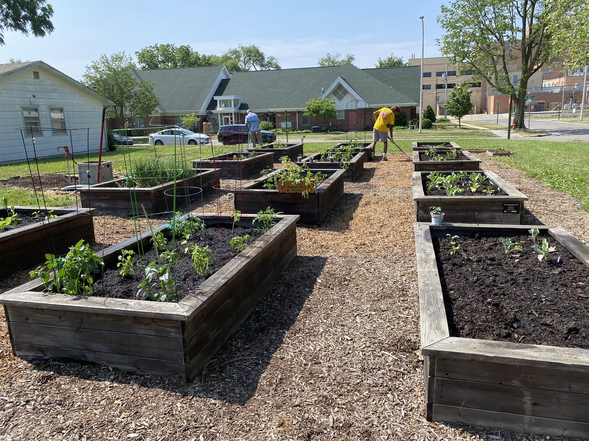 LibbyEMiller's tweet photo. Great morning for @IlliniAthletics and @HFHChampaign to partner up and tackle the community gardens! Under the supervision of the cutest guy in town! 💙🧡 https://t.co/74pvV4bQJV