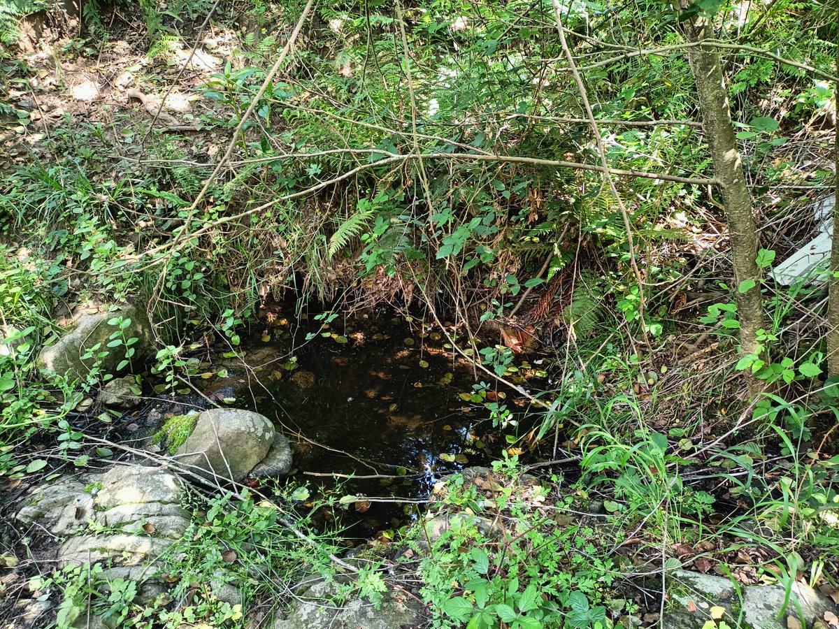 Dry_GUADALMED's tweet photo. @sanchezccr, @zzeynepersoy, @mariasoriaLimno (@FEHMLab) are sampling disconnected pools in the internal basins of Catalonia (Llobregat). https://t.co/ZbKyojlbJV