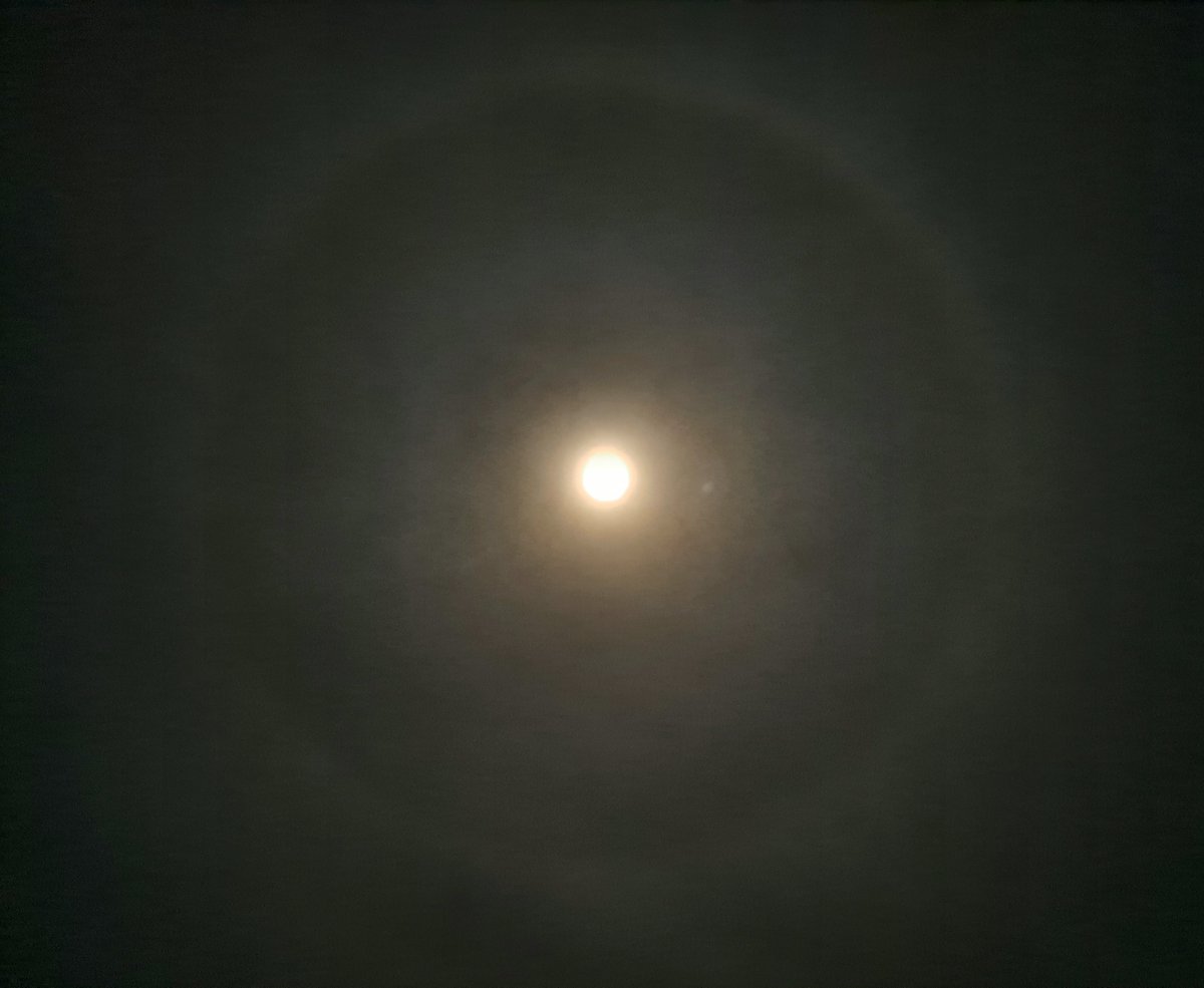 MarvabluesF1's tweet photo. And now we have a halo! https://t.co/ZCpbP60CtQ