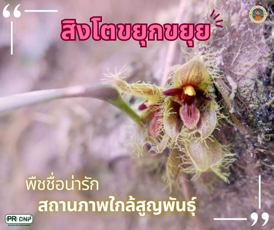 pr_prdnp's tweet photo. "āļŠāļīāļāđāļāļāļĒāļļāļāļāļĒāļļāļĒ" āļāļĨāđāļ§āļĒāđāļĄāđāļāļīāļāļāļēāļĻāļąāļĒ āļāļ·āļāļāļĩāđāļāļĒāļđāđāđāļāļŠāļāļēāļāļ āļēāļāđāļāļĨāđāļŠāļđāļāļāļąāļāļāļļāđ āļāđāļēāļāļāđāļ https://t.co/snqJdpvNs6
#āļŠāļīāļāđāļāļāļĒāļļāļāļāļĒāļļāļĒ #āļ§āļąāļāļāđāļāđāļĄāđāļāļĢāļ°āļāļģāļāļĩāļāļāļāļāļēāļāļī #āļāļĢāļĄāļāļļāļāļĒāļēāļ #prdnp #DNP https://t.co/hVCrTsnzZA