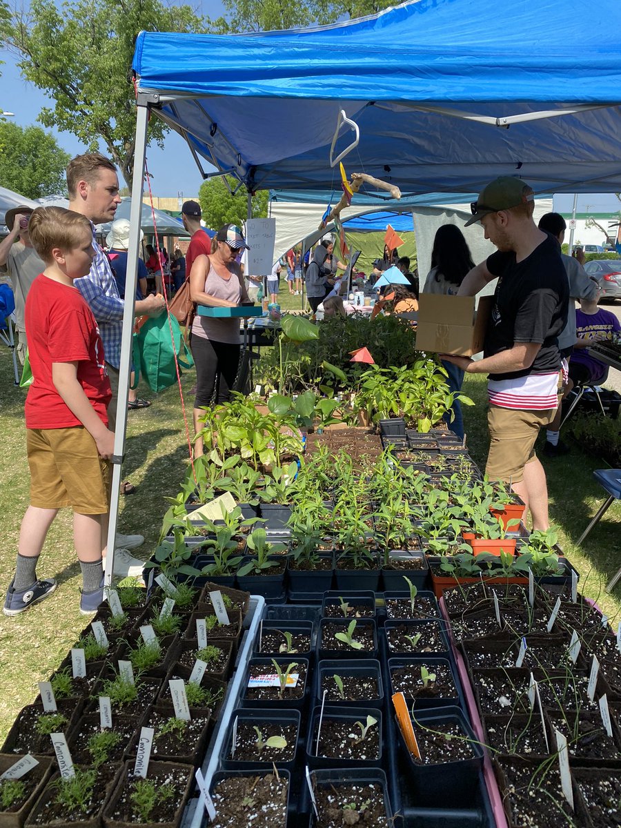 Devi Sharma tweet media