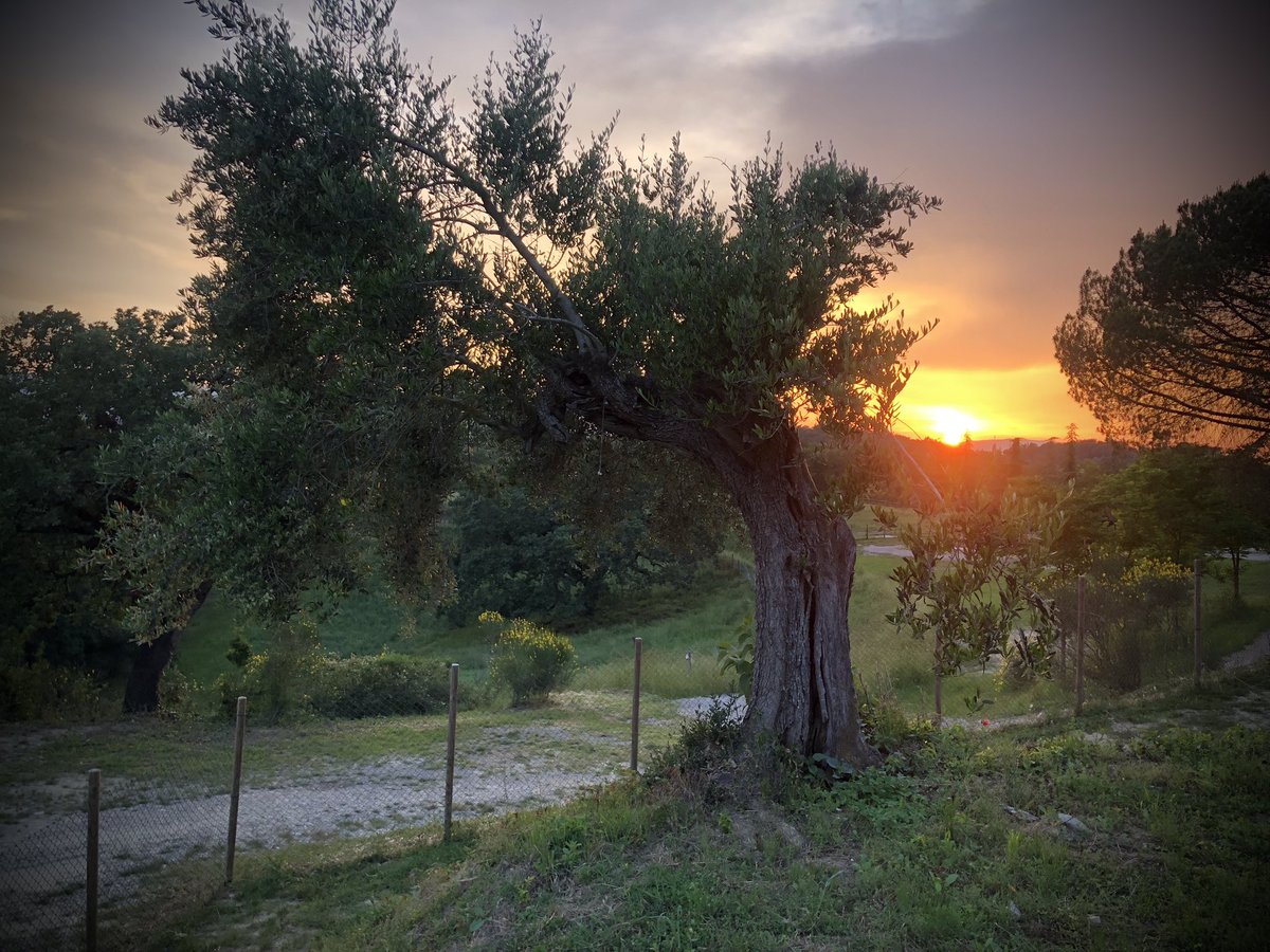 At Borgo Melograno — Take your time … 
#borgomelograno #chiusi #tuscany #italy