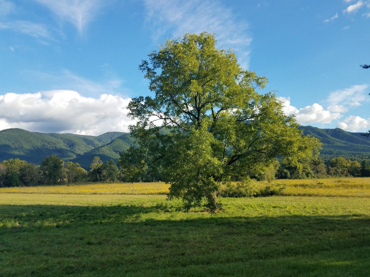 Average_NF_Fan's tweet photo. @LibertyCappy The place I call home https://t.co/sqSTlUCd0u
