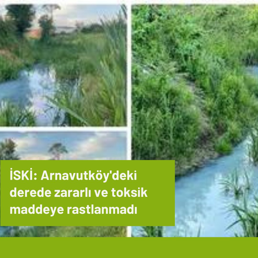 cekolojik's tweet photo. https://t.co/isE192PY51