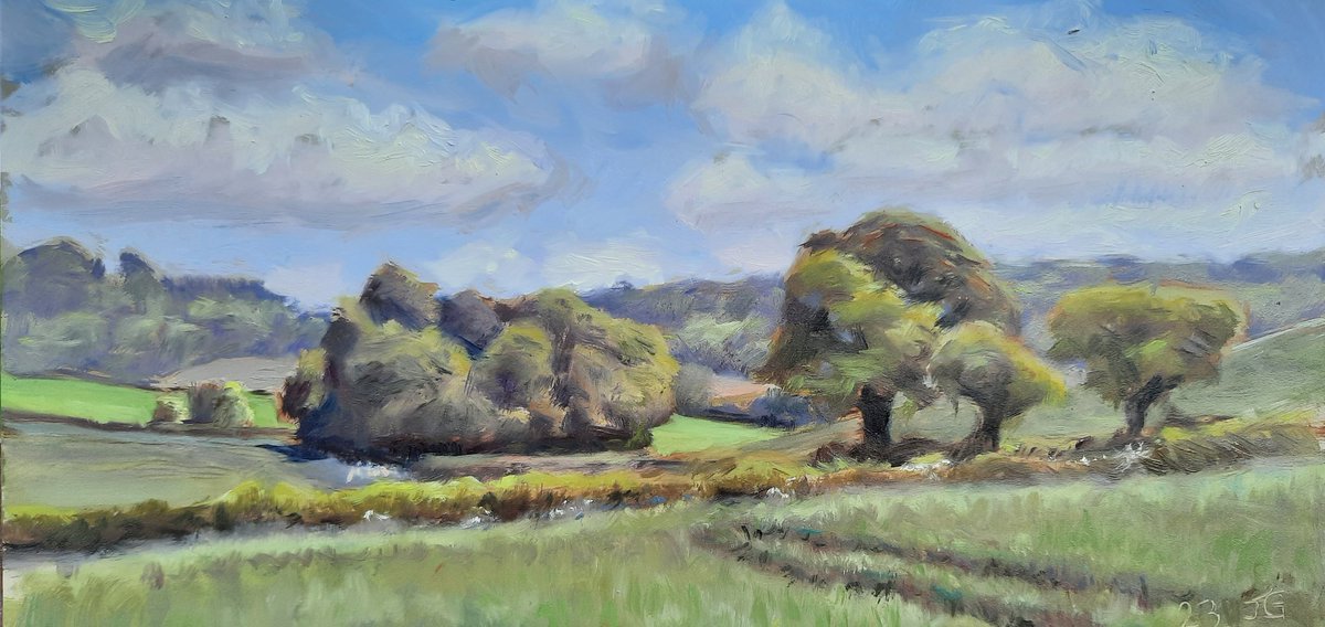 I was painting Pyrtle Spring near Princes Risborough today. Oil on gesso panel, 15 x 30 cm.
#chilternsaonb #princesrisborough #landscapeoilpainting #oilpainting #chilternhills #pleinair #oilpaintingonpanel #Artwork #landscapepainting