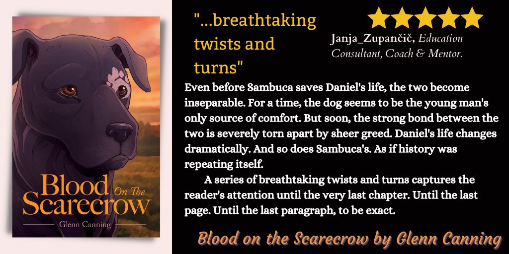 '...breathtaking twists and turns...' 5 STARS Review of Blood on the Scarecrow by @glenncanning1 @Janja_Zupancic @wh2r_ol @writers_ol @kids_ol @fiction_ol @allbk_ol smpl.is/70zr8