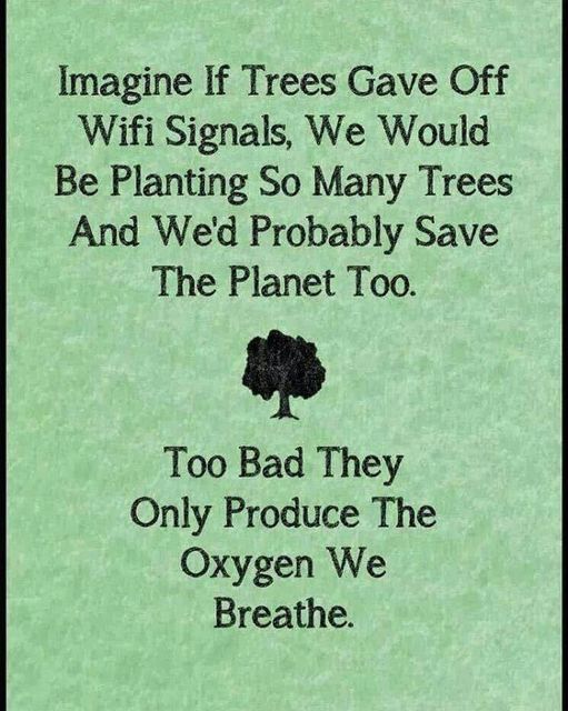 #INDIGENOUS #TAIRP