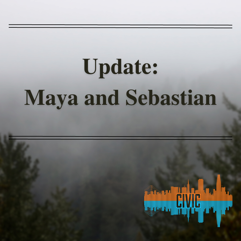 📢Podcast subscribers: We've published "Update: Maya and Sebastian" as a bonus episode to our podcast feed.

This is a follow up to "Reunification Camp Survivor Recounts Horrific Experience." In that episode, we heard about Maya and Sebastian getting sent to reunification camp.