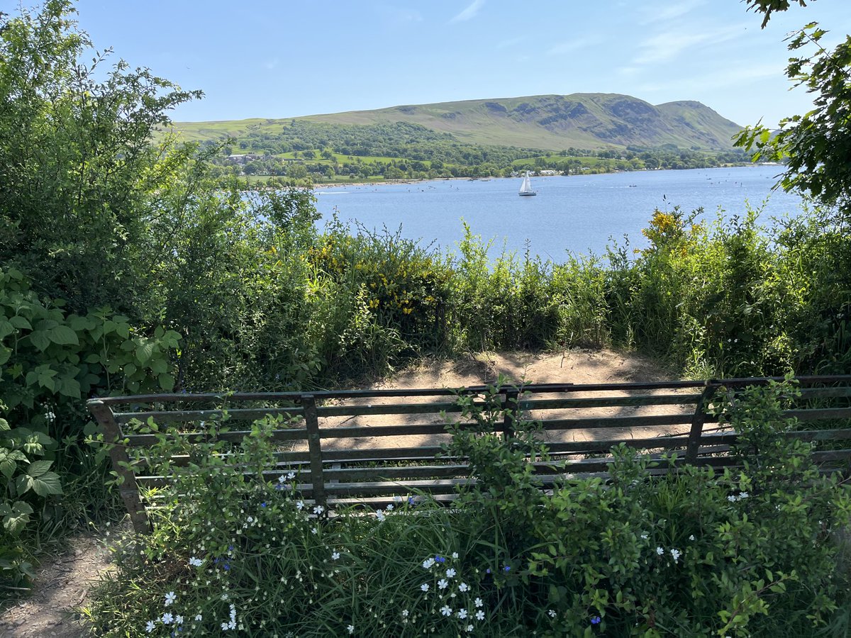 thirskblade's tweet photo. ⁦@MyFaveBench⁩ Pooley Bridge on Ullswater…on an early summer’s day #perfect https://t.co/XTAitGvigV