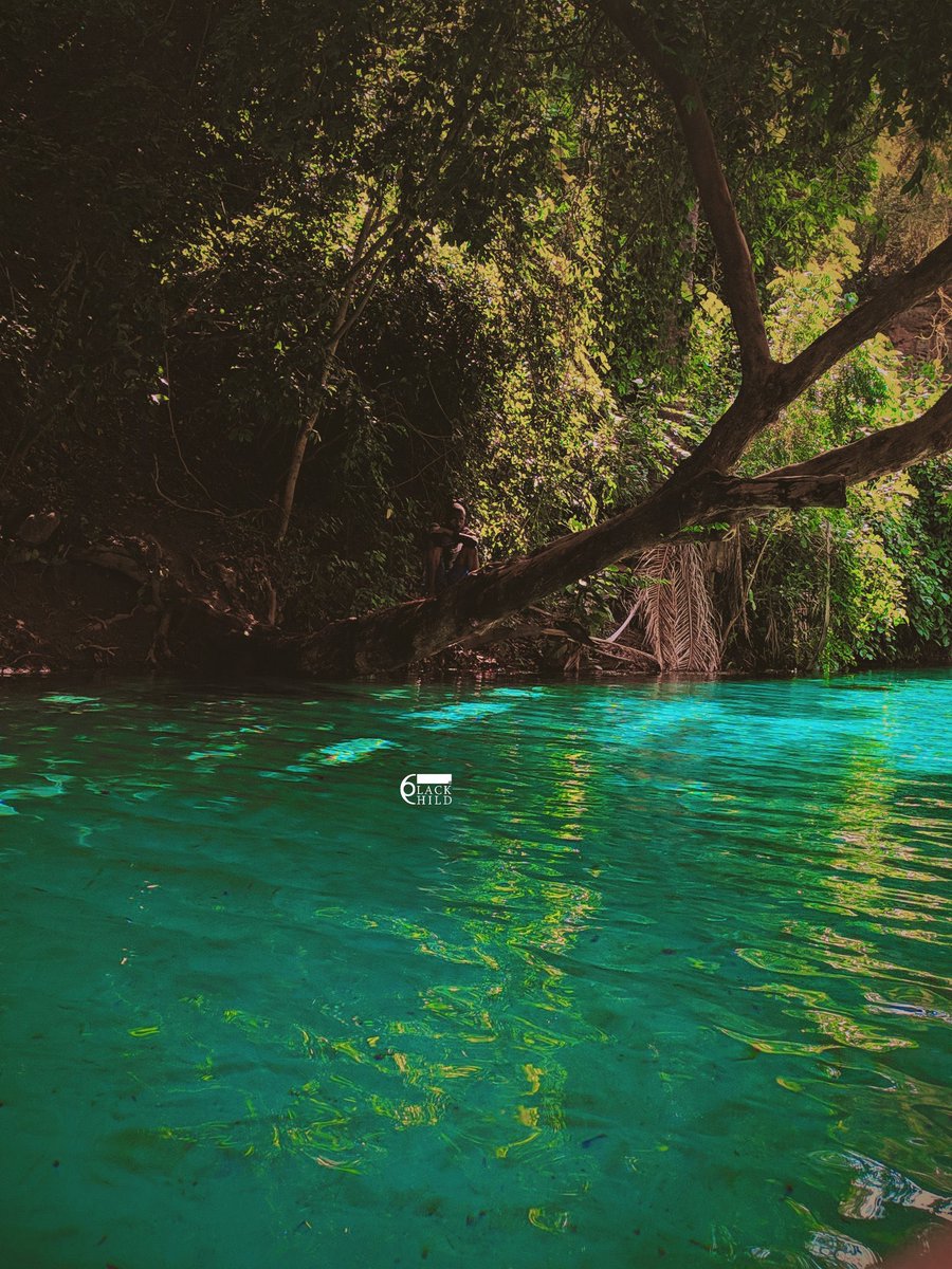 Africa Facts Zone on Twitter "Wikki Warm Springs at Yankari Game