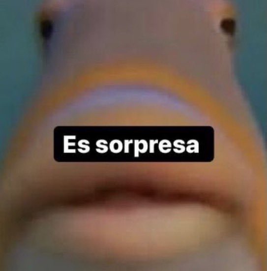 sergiorocaa's tweet photo. yo dando una sorpresa https://t.co/lsaD6qf73E