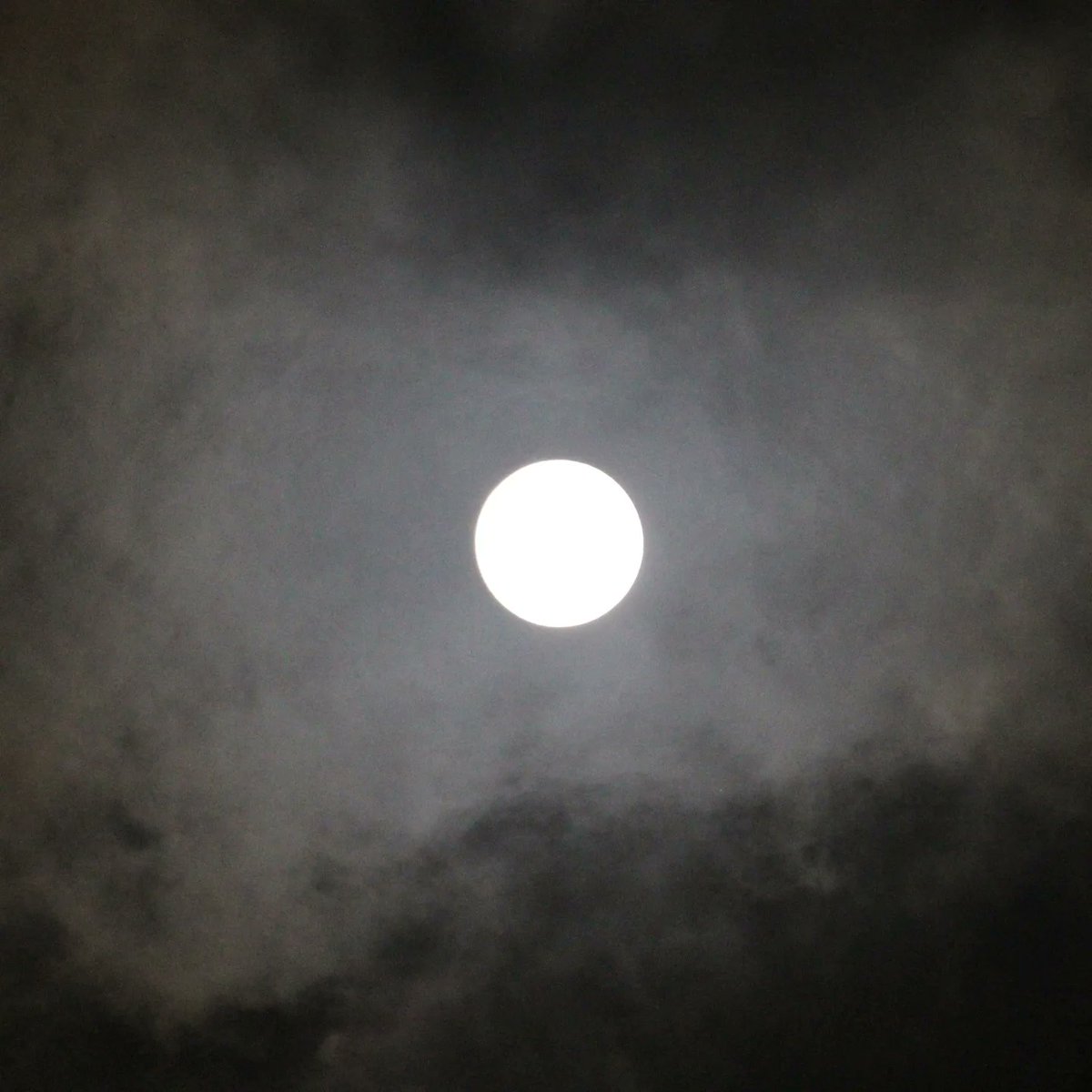 KalpitKshatriya's tweet photo. Today's #Moon shots

#moonquotes #moonphotography #moonphoto #moonpics #photography #astrophotography #natgeoyourshot #natgeo https://t.co/1uHOXc298u