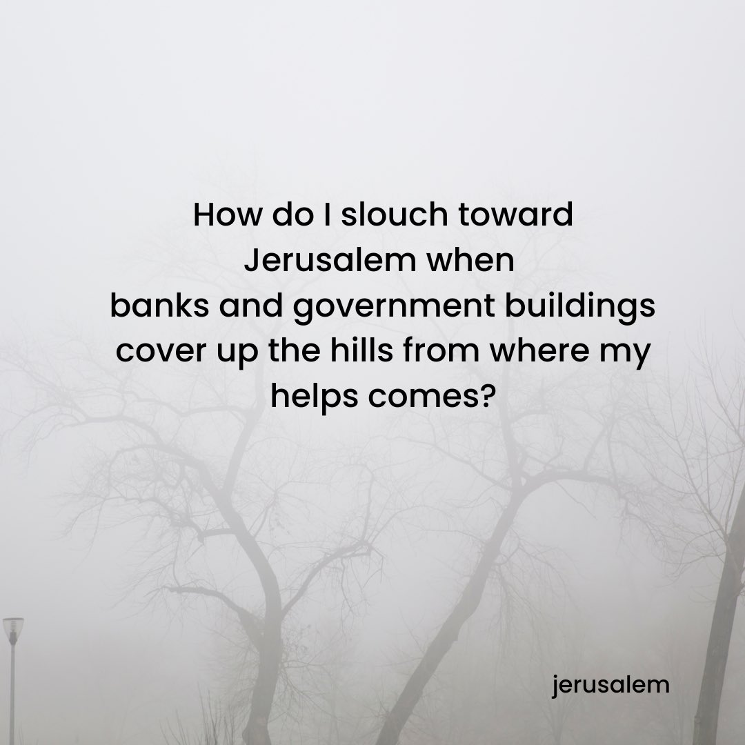 MusingHobbit's tweet image. 