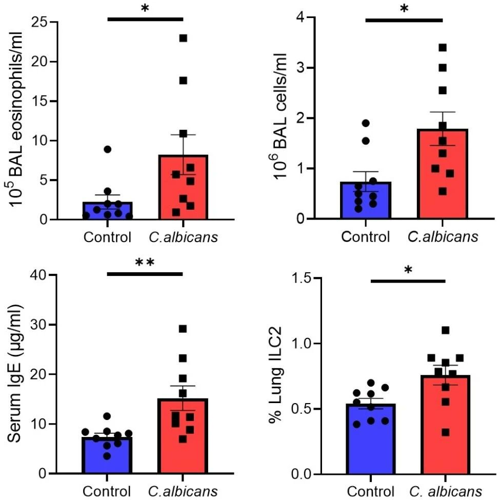 Candida gut dysbiosis may worsen asthma control in humans & enhance allergic airway inflammation in mice, potentially mediated by #ILC2. @MayoPCCM @RespiratoryBMC 

respiratory-research.biomedcentral.com/articles/10.11…

#JosephSkalski @AndrewLimper