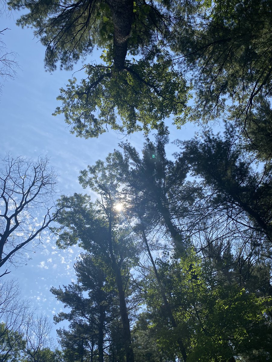 pale_ginger35's tweet photo. It may be a warmer weekend for camping but still the best for relaxing. Away from the distractions at home. Listening to nature. First weekend with the new camper. #WisconsinStateParks #RocheACriStatePark #Camping #Nature https://t.co/wWeXpl8p9h