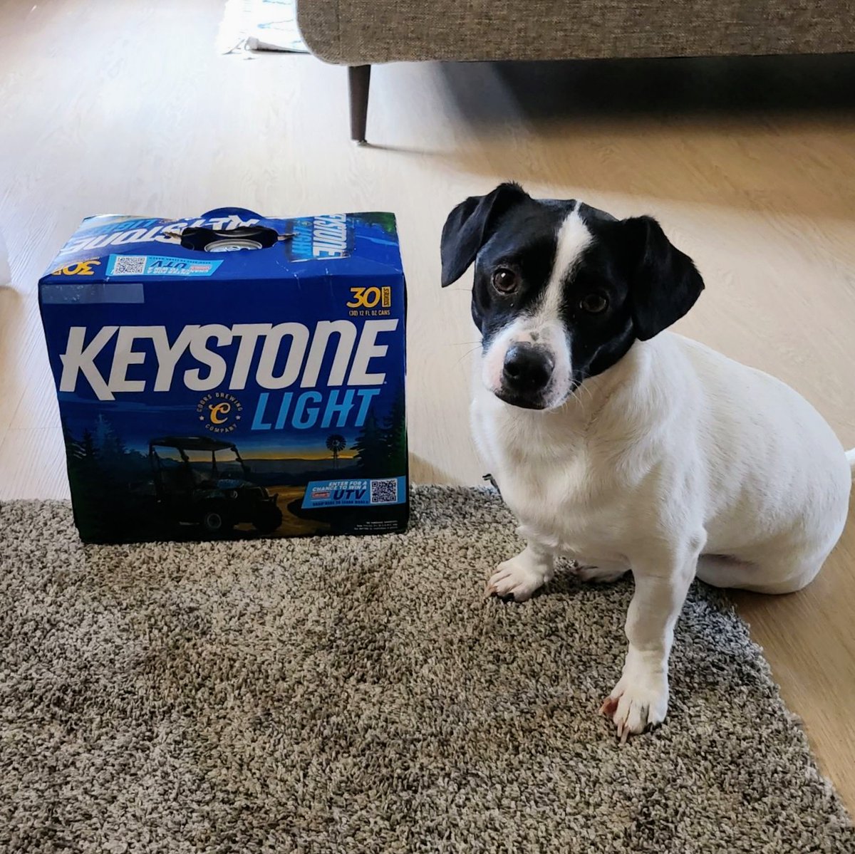 Keely_mes's tweet photo. "Cheers! π»πΆ"
- From Snacks the Doggo
@KeystoneLightUS #DoggyCheers #BestBud #KeystoneLove https://t.co/5oid3klrq3