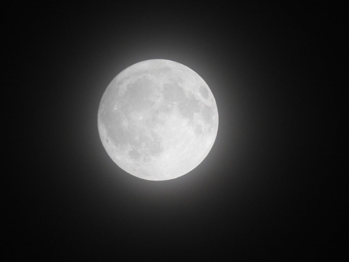mygeograph82328's tweet photo. #Foolmoon night from #India
really amazing https://t.co/zxGIPOLnSI