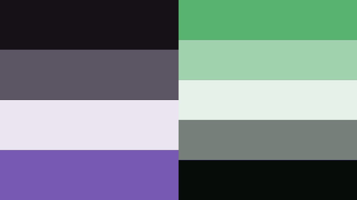 darlingmanila's tweet image. HAPPY PRIDE 🏳️‍🌈

lots of queer book threads are already out there, but i made one for the aspecs too 🖤🤍💜

here’s 63 (!!) books featuring acespec and arospec characters! 💚🤍🖤

1/