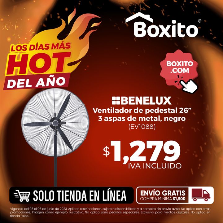 Grupo Boxito tweet media